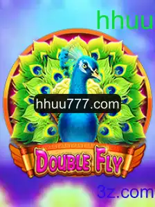 Explorando o Mundo de DoubleFly: Um Guia Completo para Iniciantes